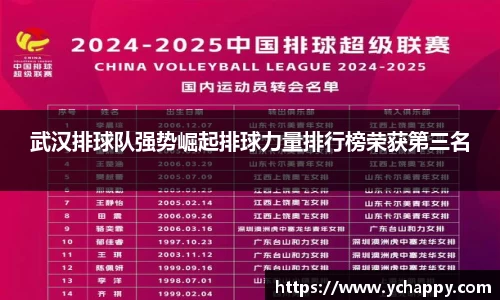 武汉排球队强势崛起排球力量排行榜荣获第三名